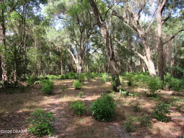 0 Oak Valley Drive, DeLand, FL 32720