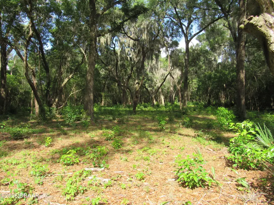 0 Oak Valley Drive, Deland, FL 32720 - #2