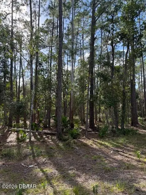 207 Ocala Court, Georgetown, FL 32139 - #1