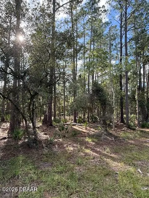 207 Ocala Court, Georgetown, FL 32139 - #2