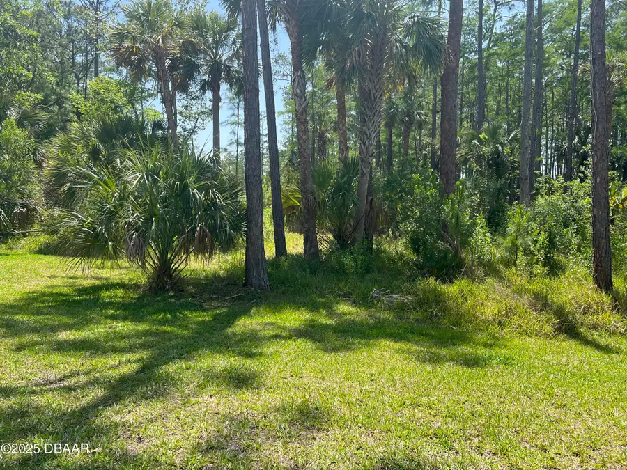 3 Remington Road, Ormond Beach, FL 32174 - #2
