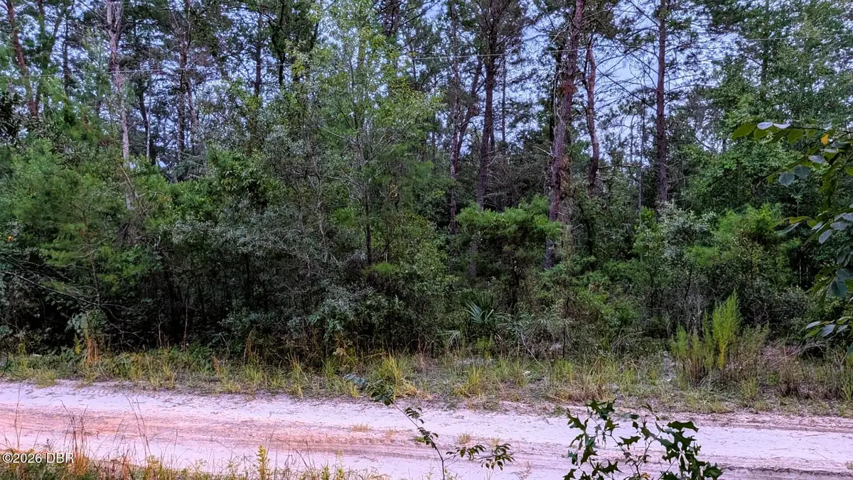 105 Strawberry Lane, Pomona Park, FL 32181 - #1