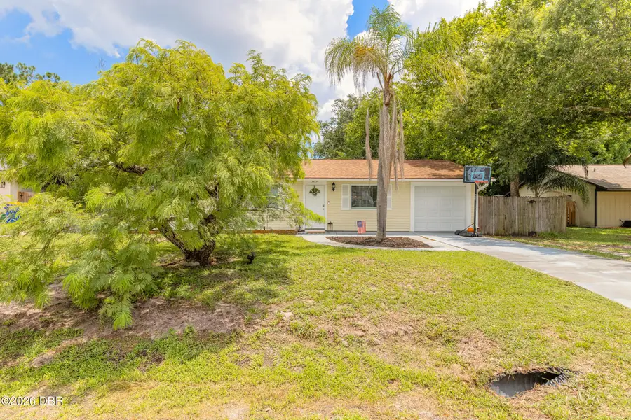 3223 Umbrella Tree Drive, Edgewater, FL 32141 - #3