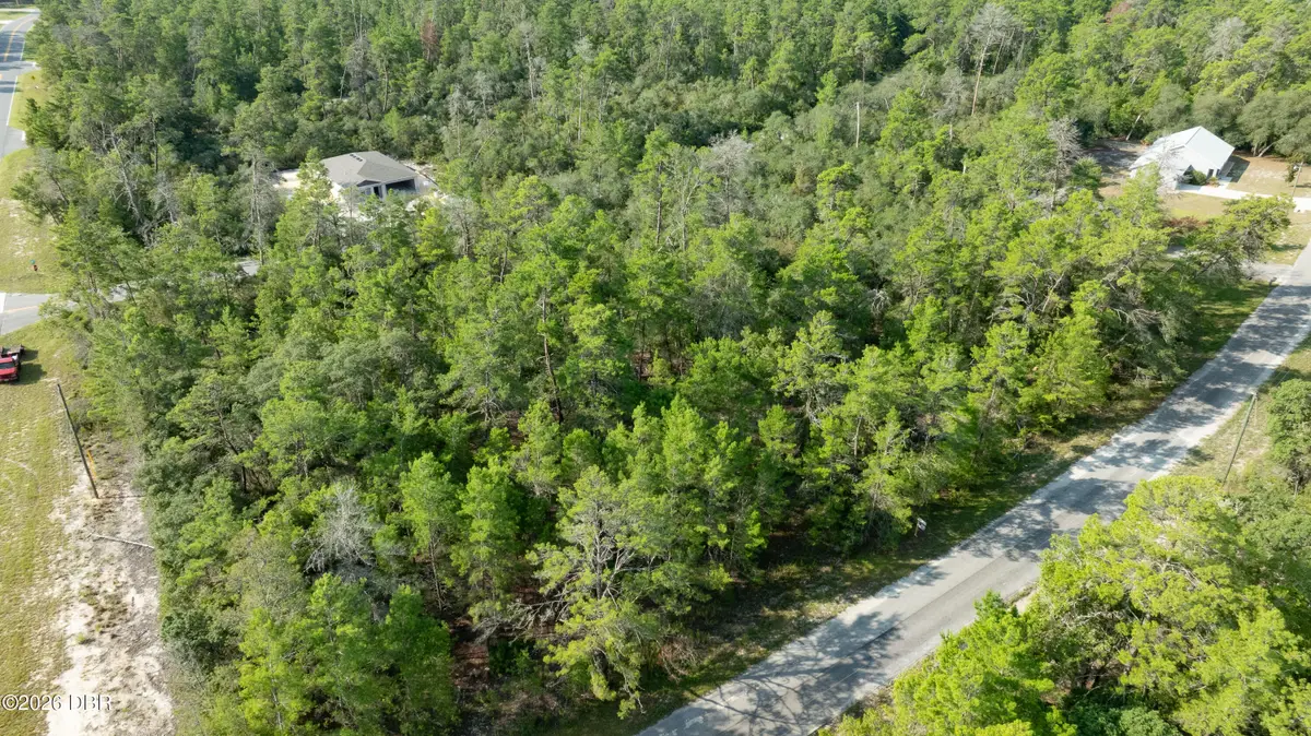 26 Fisher Trail Terrace, Ocklawaha, FL 32179 - #1