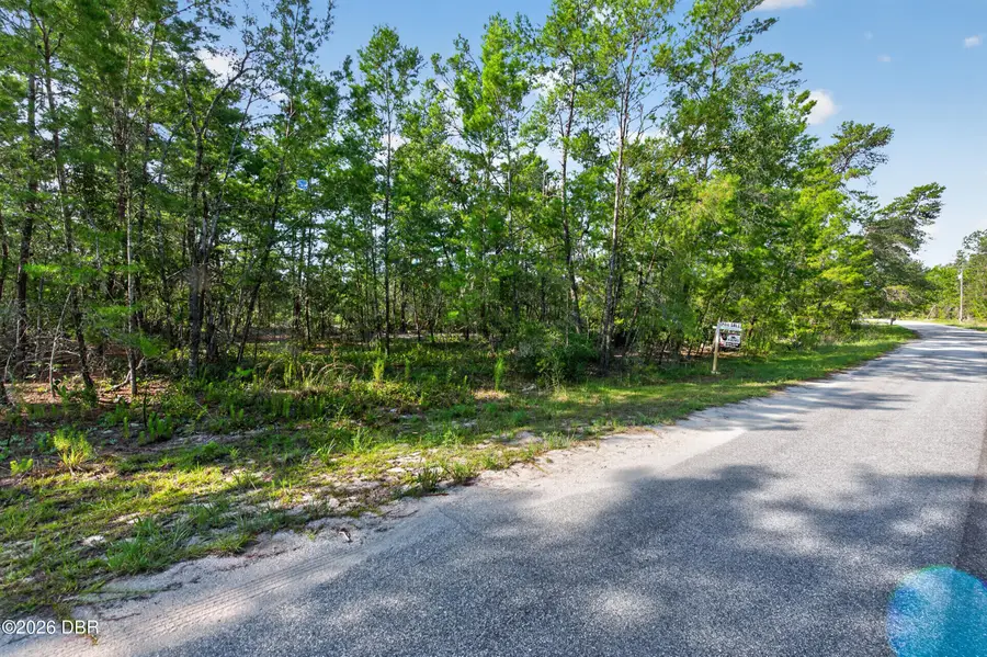 26 Fisher Trail Terrace, Ocklawaha, FL 32179 - #2