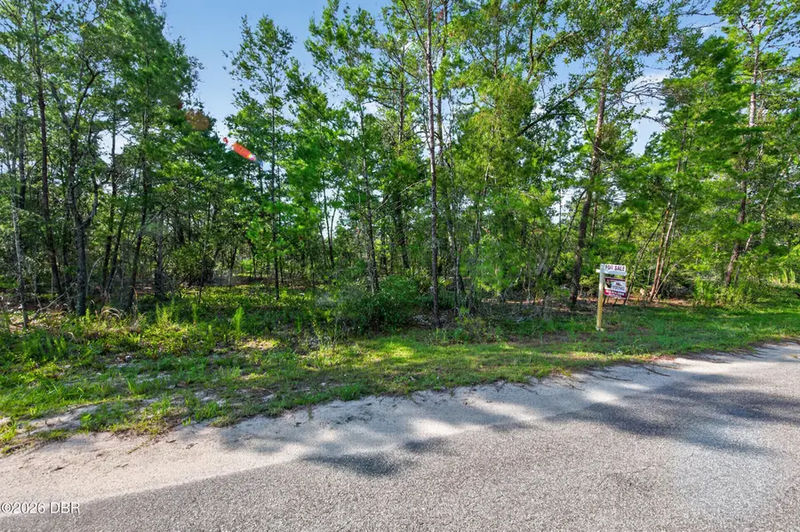 26 Fisher Trail Terrace, Ocklawaha, FL 32179 - #3