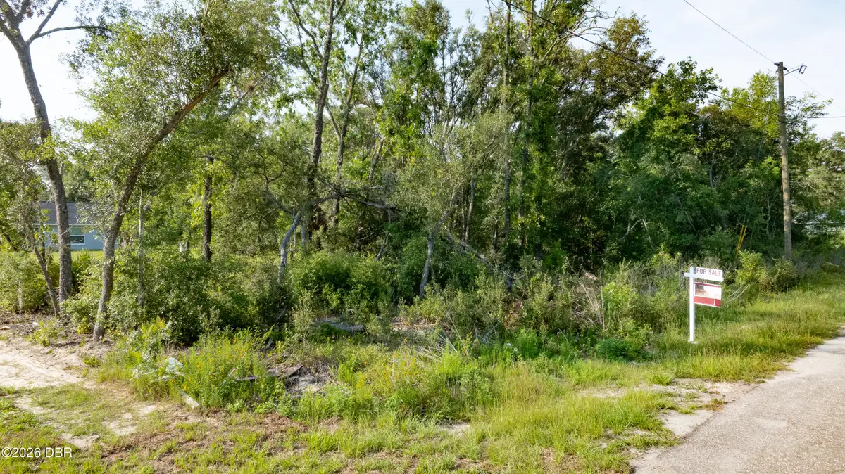48 Fisher Lane Course, Ocklawaha, FL 32179 - #1