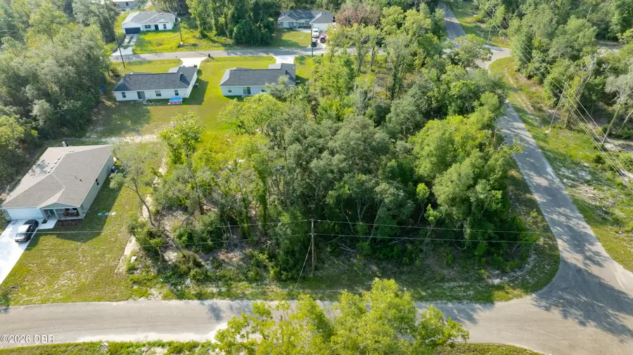 48 Fisher Lane Course, Ocklawaha, FL 32179 - #3