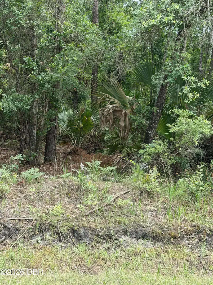 00 Ninemile Point Road, Pierson, FL 32180 - #3