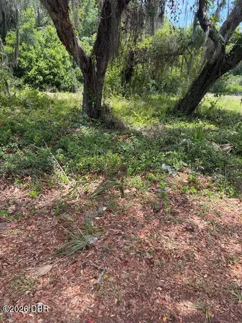1511 Russell Avenue, Eustis, FL 32726