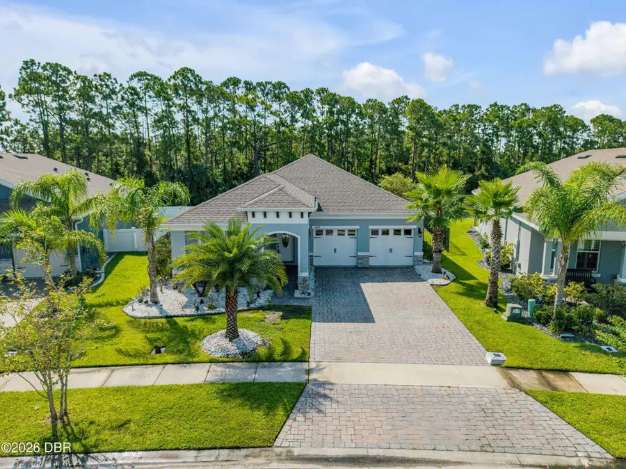 3027 Borassus Drive, New Smyrna Beach, FL 32168 - #2