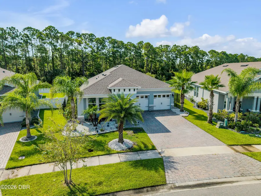 3027 Borassus Drive, New Smyrna Beach, FL 32168 - #3