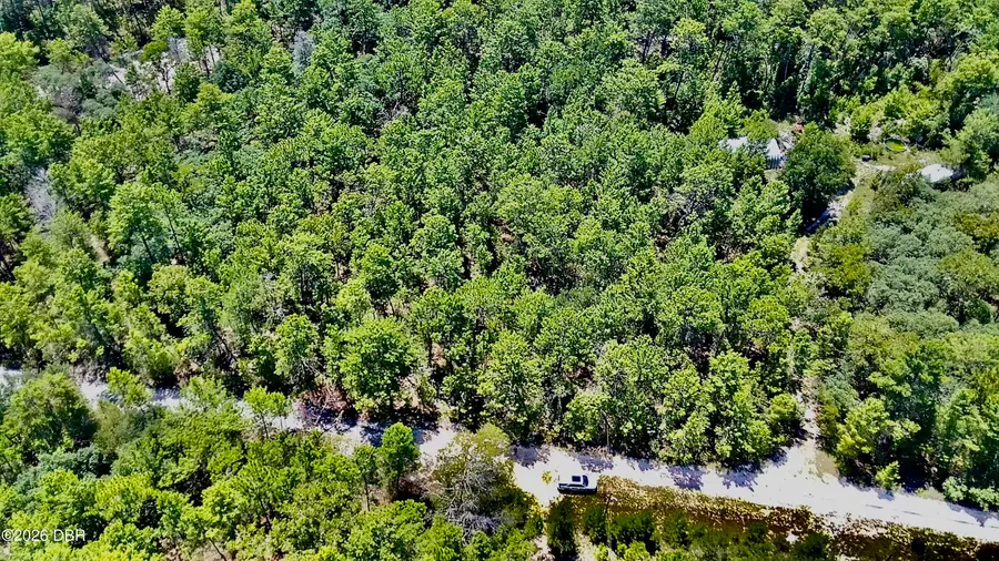 121 Pear Street, Welaka, FL 32193 - #3