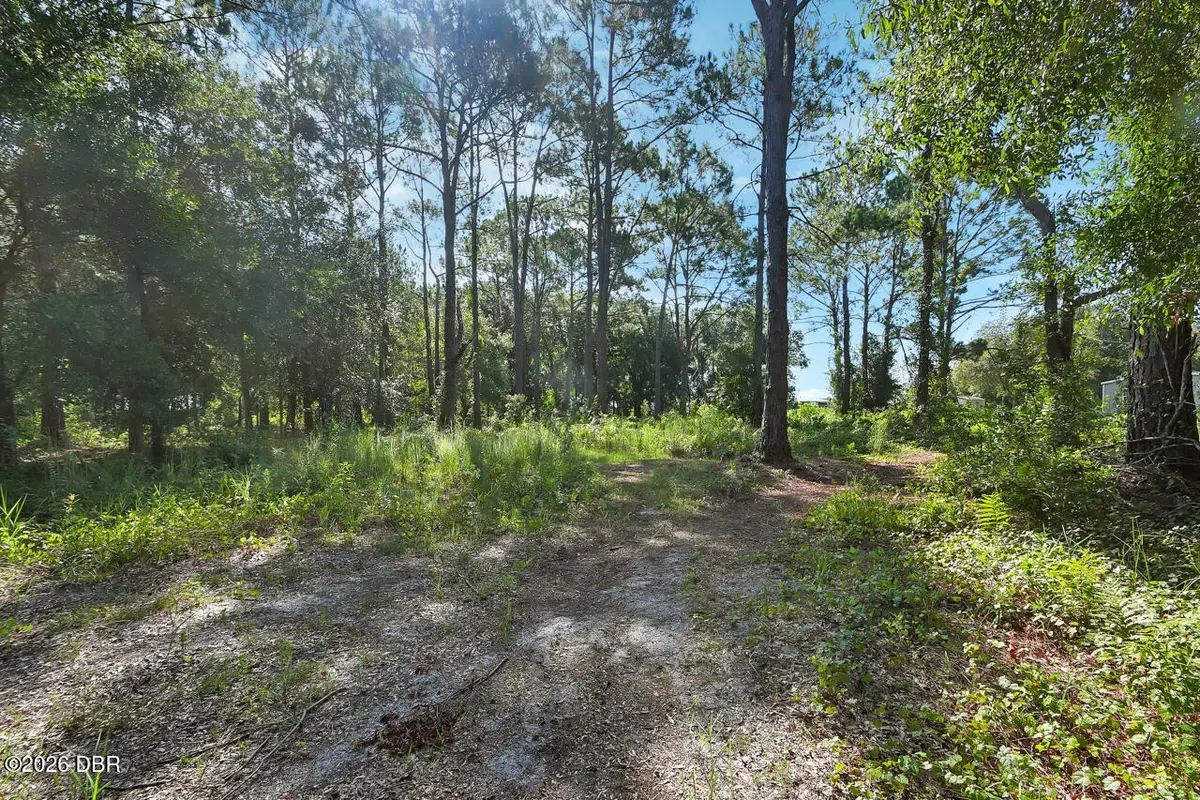 325 Garden Lane, Bunnell, FL 32110 - #1