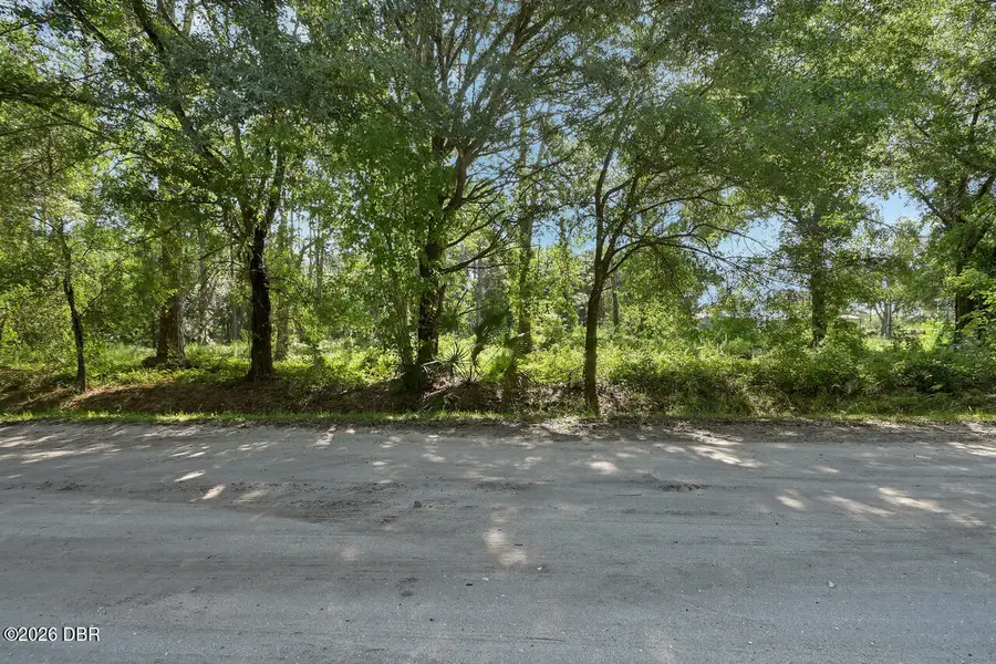 325 Garden Lane, Bunnell, FL 32110 - #3