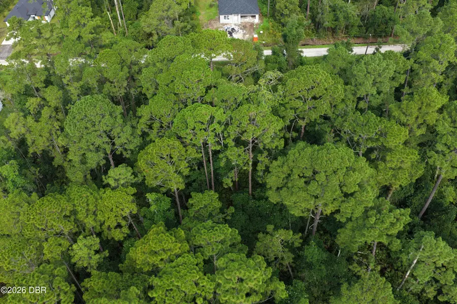 0 E Jasmine Road, Deland, FL 32724 - #3