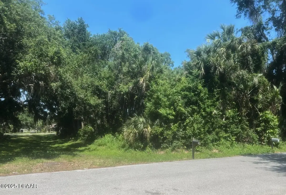 00 Orange Tree Drive, Edgewater, FL 32141 - #1