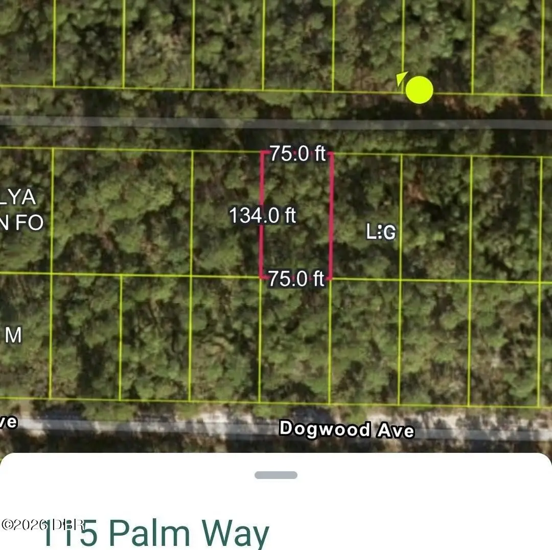 115 Palm Way, Georgetown, FL 32139 - #1