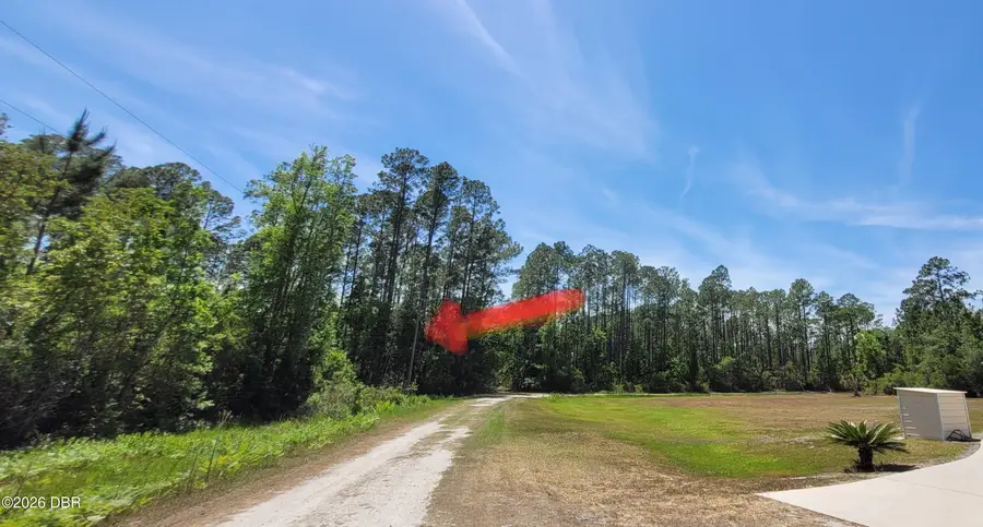 109 Roebuck Road, Georgetown, FL 32139 - #2