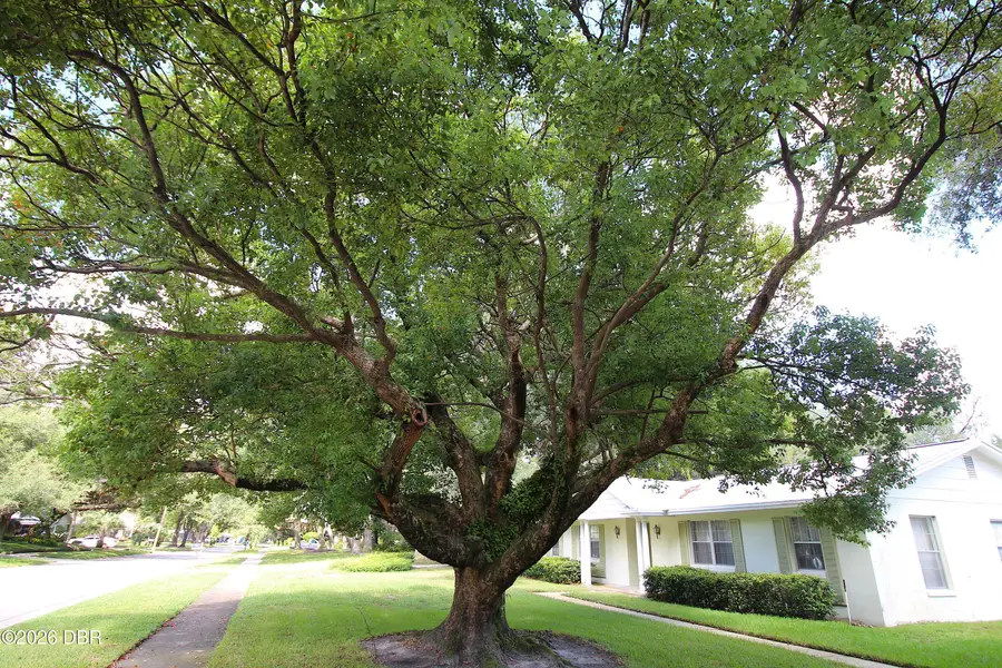 813 Leopard Trail, Winter Springs, FL 32708 - #3