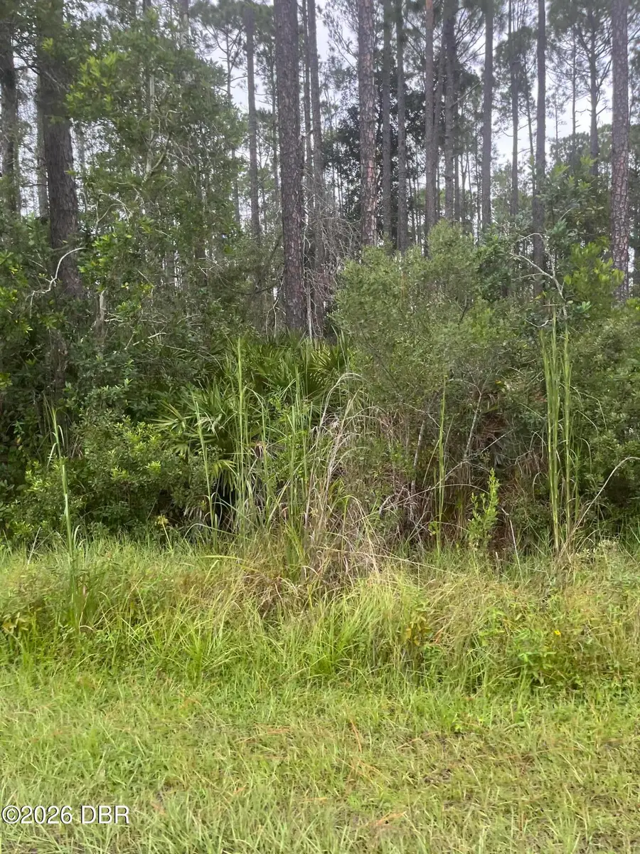 3742 White Spruce Court, Ormond Beach, FL 32174 - #3