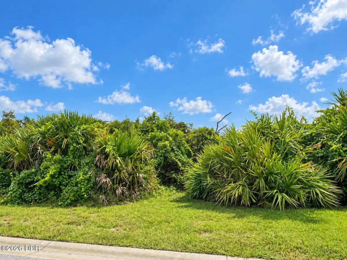 24 Rollins Dunes Drive, Palm Coast, FL 32137 - #1