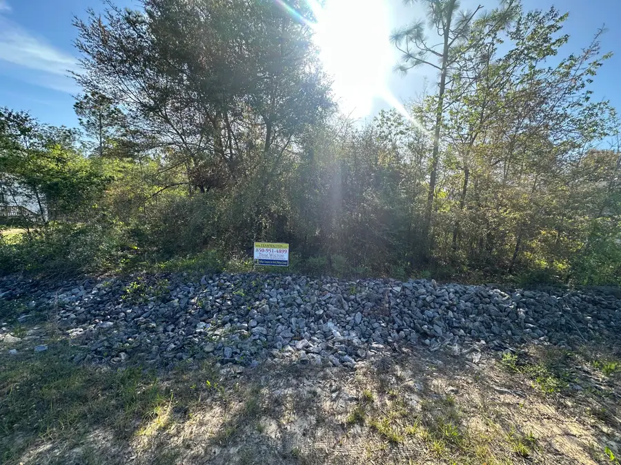 XXX Trout Drive, Defuniak Springs, FL 32433 - #3