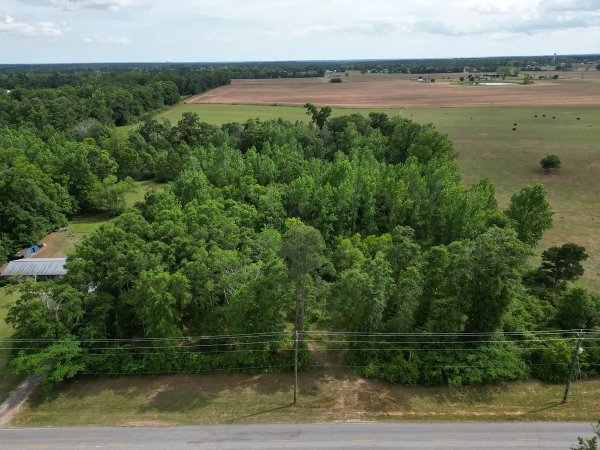 2000 Molino Road, Molino, FL 32577 - #1