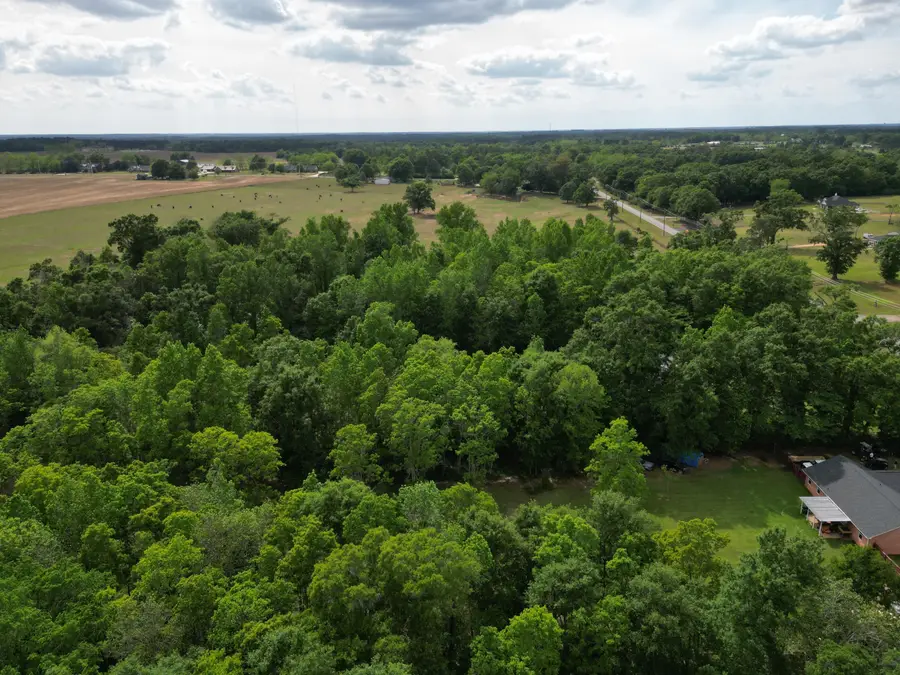 2000 Molino Road, Molino, FL 32577 - #2