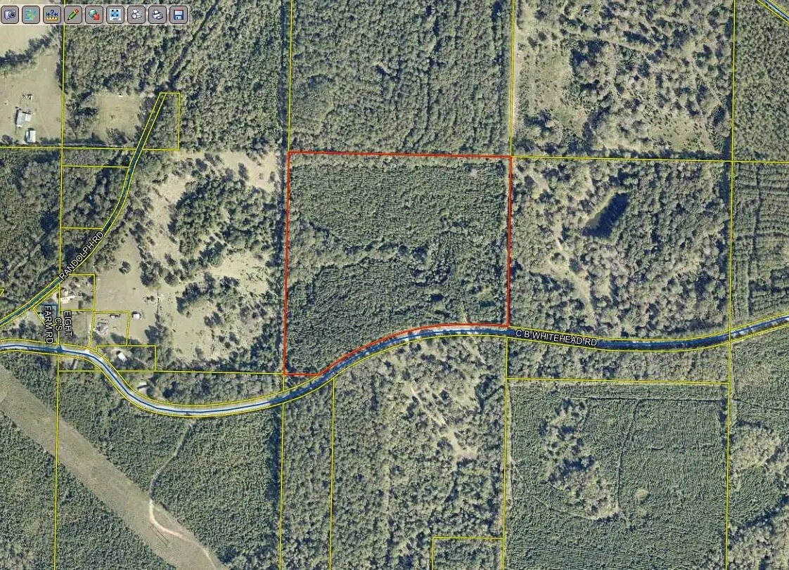 00 C B Whitehead Road, Ponce De Leon, FL 32455 - #1