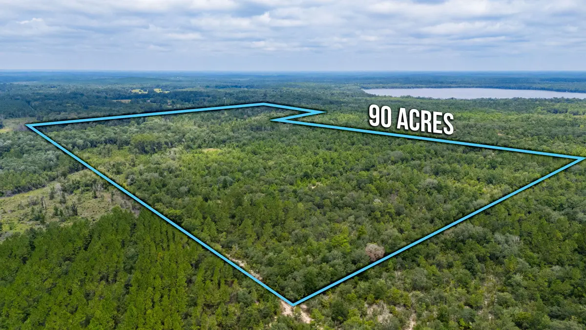 90 Acres Union Hill Road, Vernon, FL 32462 - #1