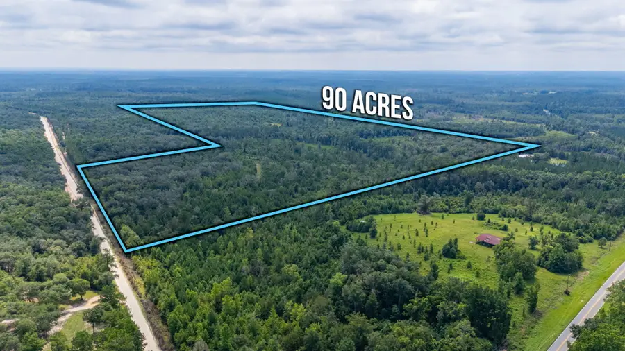 90 Acres Union Hill Road, Vernon, FL 32462 - #2