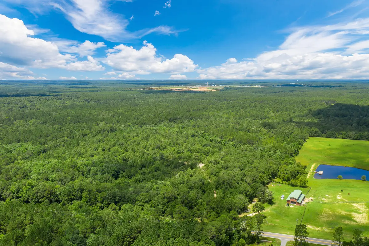 TBD N County Hwy 183, Defuniak Springs, FL 32433 - #1