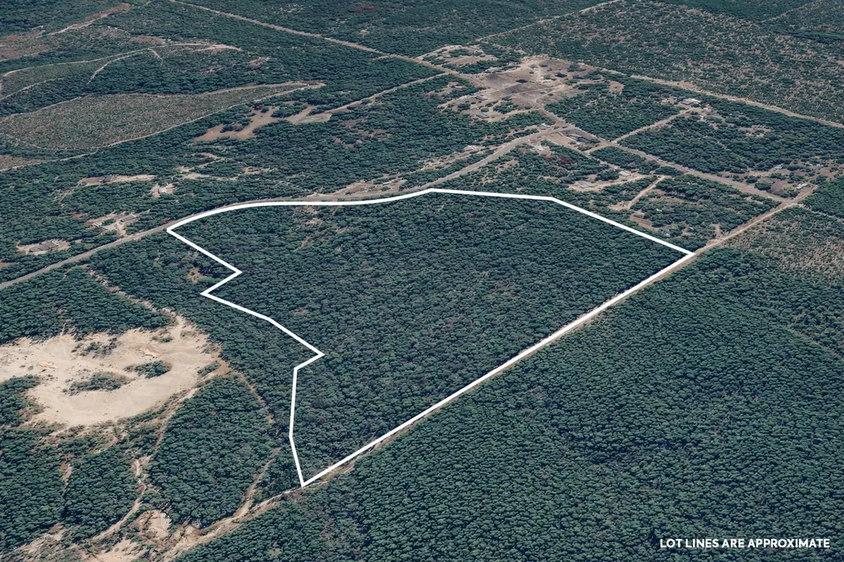 287 High Lonesome Road, Defuniak Springs, FL 32435 - #1