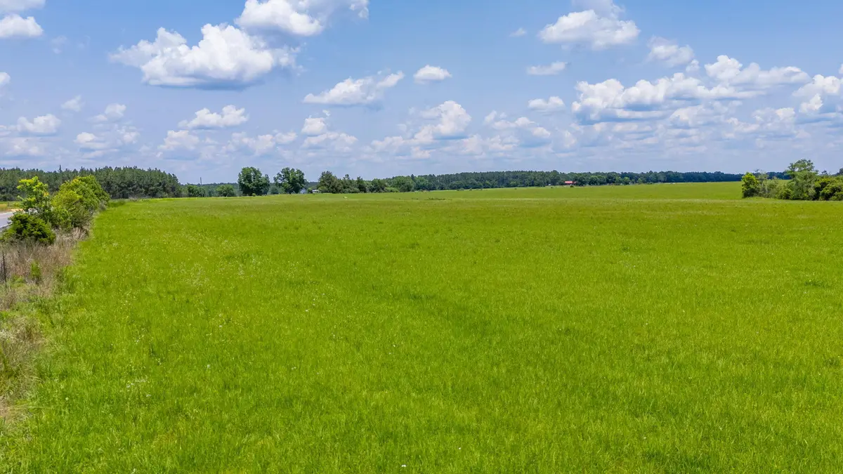 Parcel A Adams Drive, Defuniak Springs, FL 32433 - #1