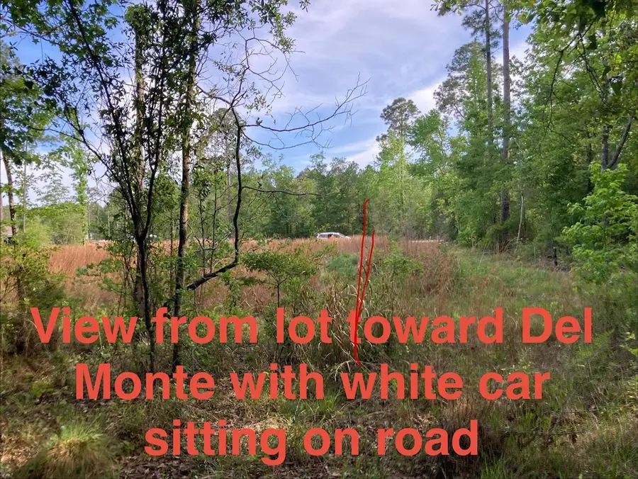 LOT 17 N 9th Lane, Milton, FL 32583 - #2