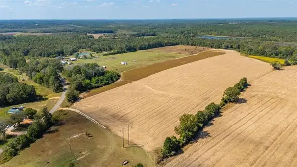 4.91D Acre Mcphail Farm Road, Florala, AL 36442