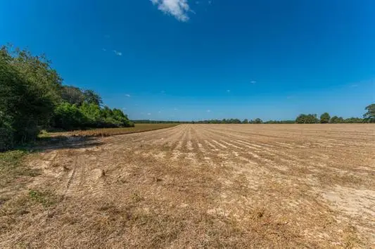 37.4 Acres Mcphail Farm Road, Florala, AL 36442 - #1