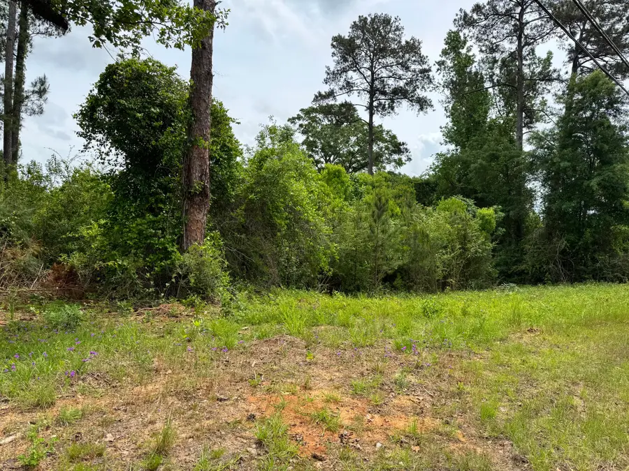 1436 Claxton Avenue, Elba, AL 36323 - #2