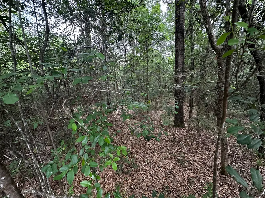 TBD S Sundance Way, Holt, FL 32564 - #3