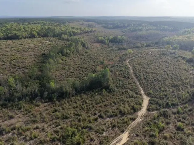 1718 TBD 198 Acres +/-, Westville, FL 32464 - #2