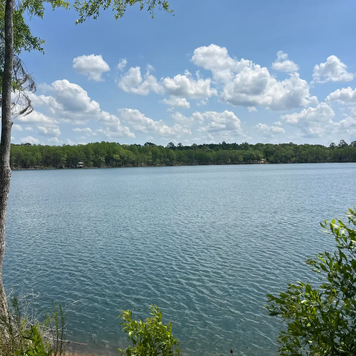TBD Blue Pond Circle Circle, Ponce De Leon, FL 32455 - #1