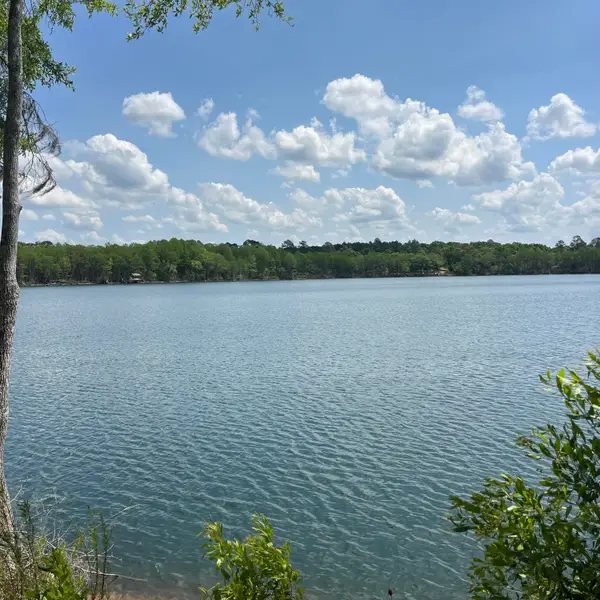 TBD Blue Pond Circle Circle, Ponce De Leon, FL 32455