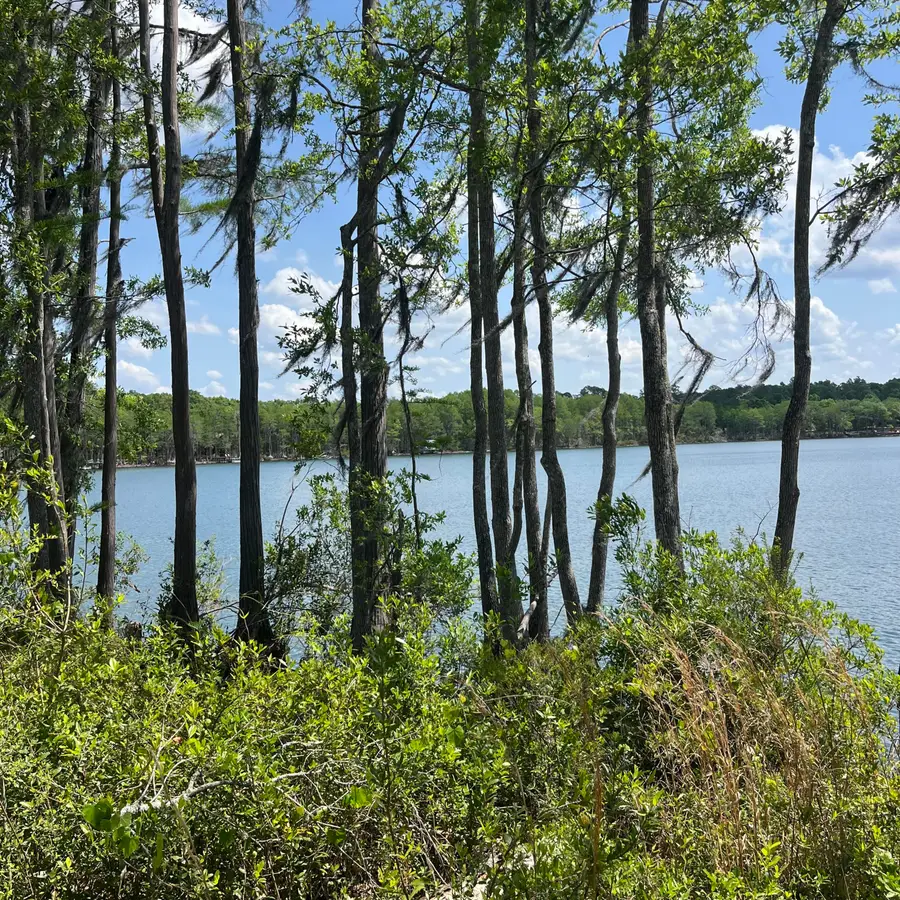 TBD Blue Pond Circle Circle, Ponce De Leon, FL 32455 - #3