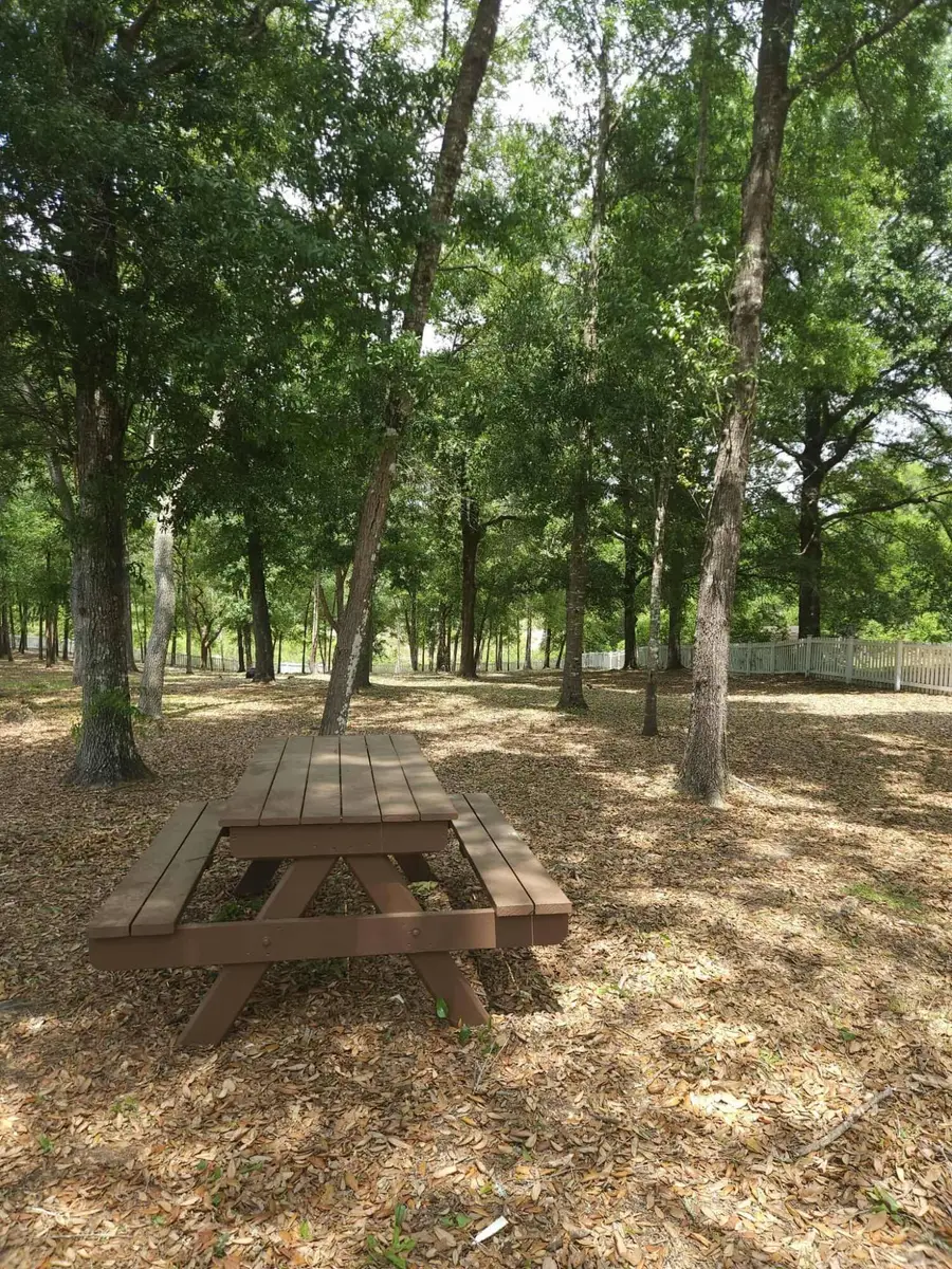 134 Double L Road, Defuniak Springs, FL 32433 - #3