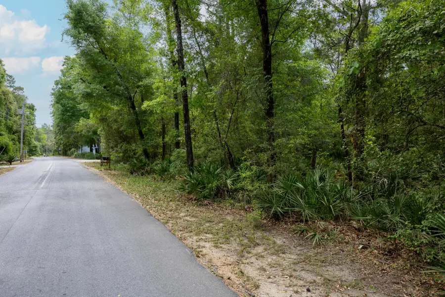 Lot X Piney Point Road, Freeport, FL 32439 - #3