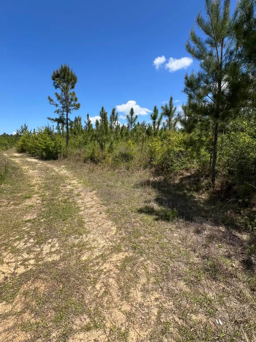 0 Goodman Hill Road, Chipley, FL 32428 - #3