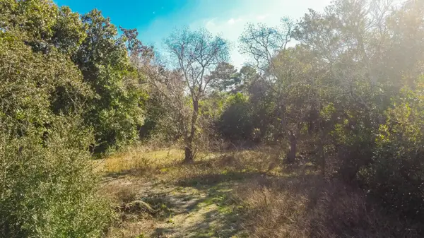 22229 Inlet Beach Court, Panama City Beach, FL 32413