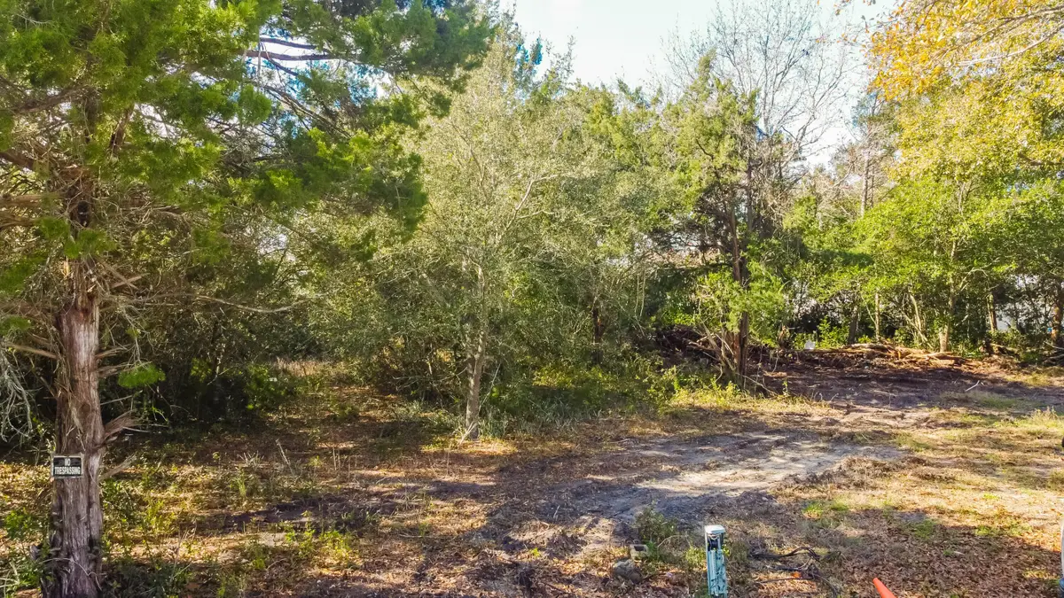 22235 Inlet Beach Court, Panama City Beach, FL 32413 - #1