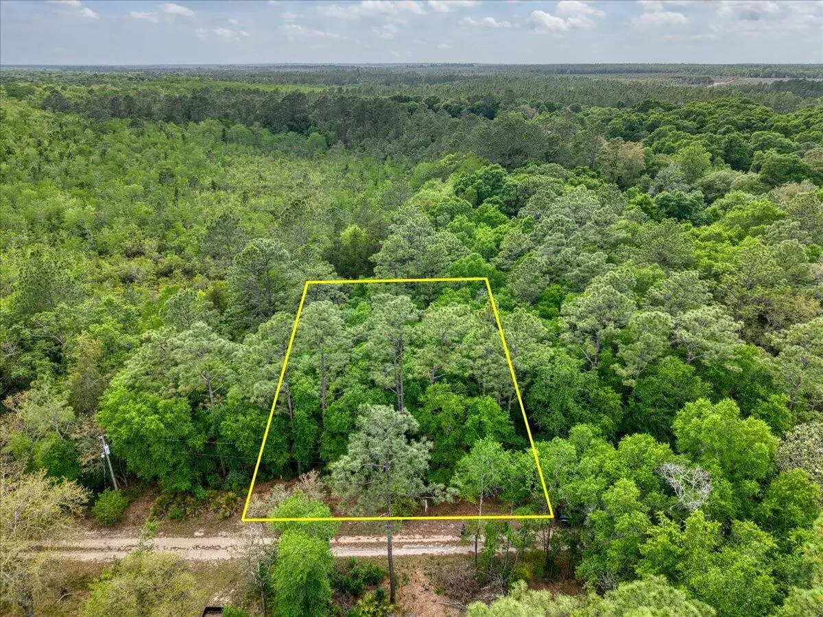 0.17 AC Tango Ln, Harold, FL 32563 - #1